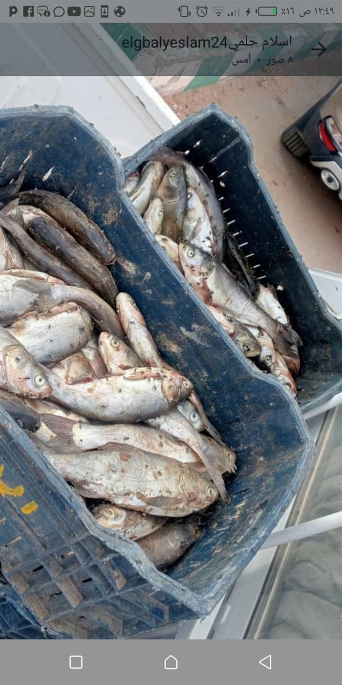 ضبط اسماك غير صالحة للاستهلاك الادمي