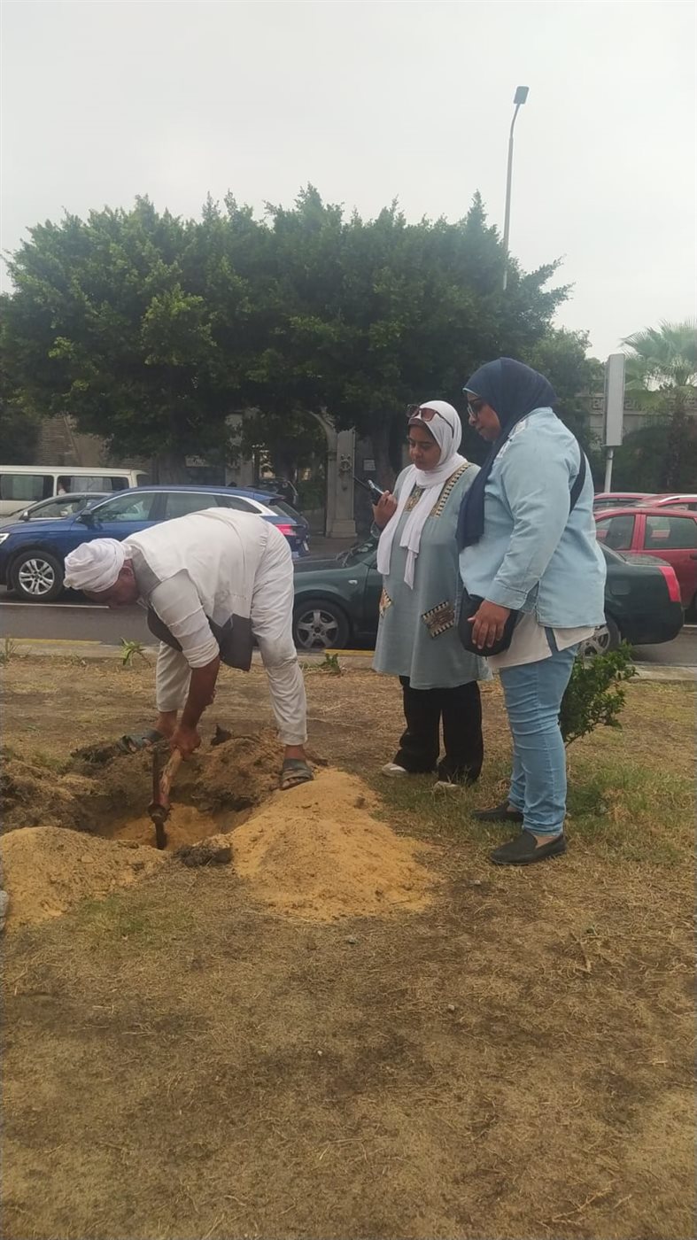 تنفيذ الحملة