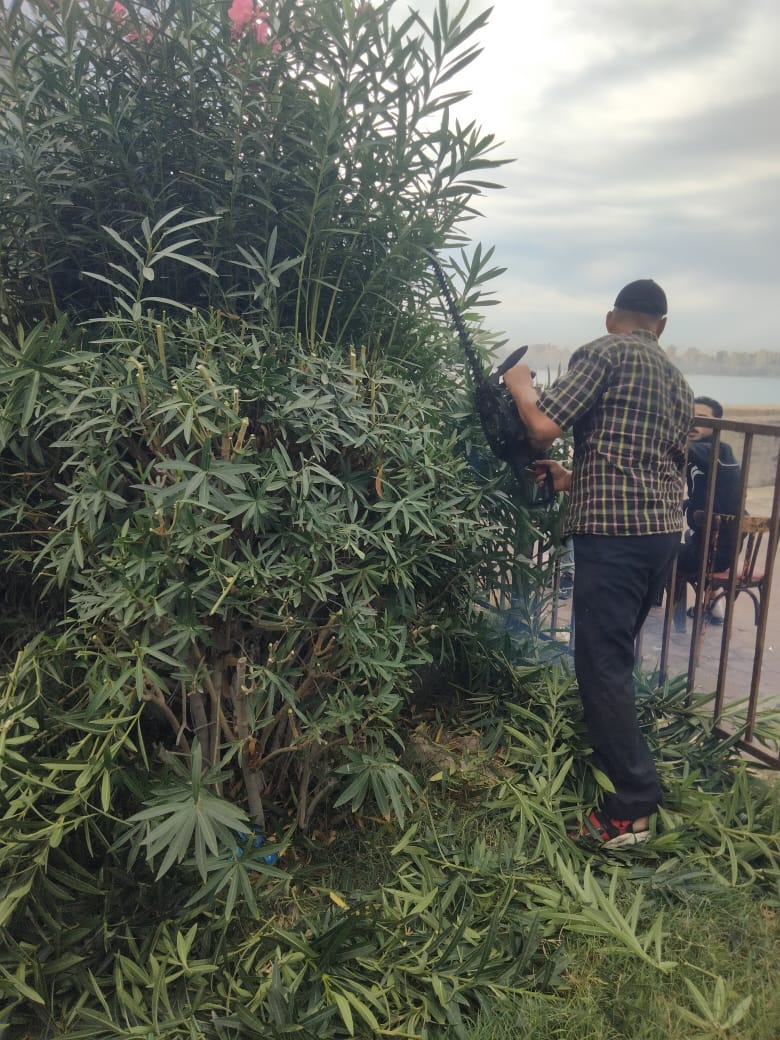 تنفيذ الحملة