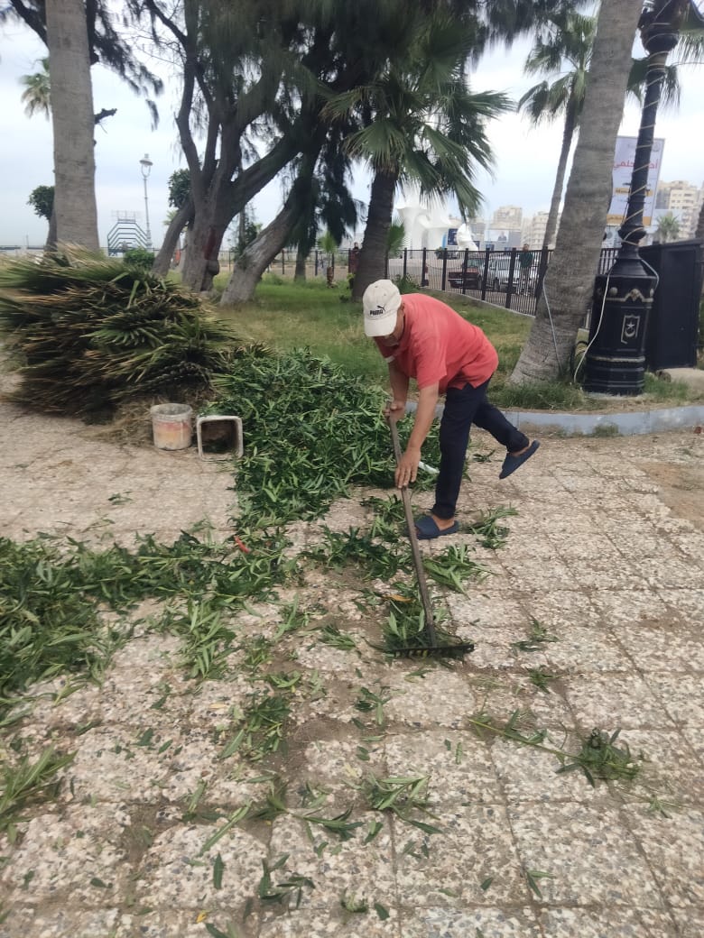 تنفيذ الحملة