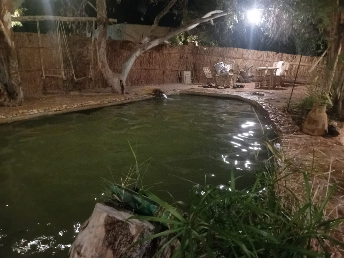 عيون المياه الكبريتية بواحة سيوة 