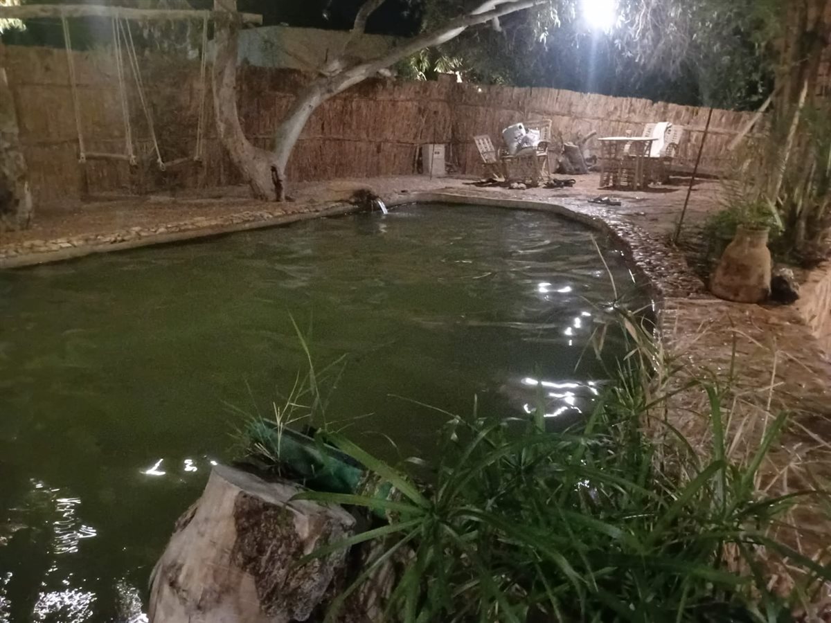 عيون المياه الكبريتية بواحة سيوة 