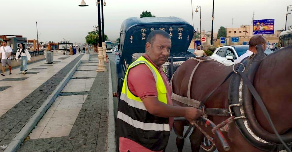 حملات مستمرة لرفع الإشغالات بالأقصر 