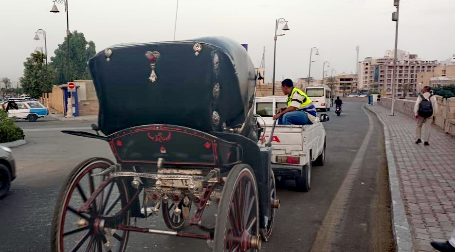 حملات مستمرة لرفع الإشغالات بالأقصر 
