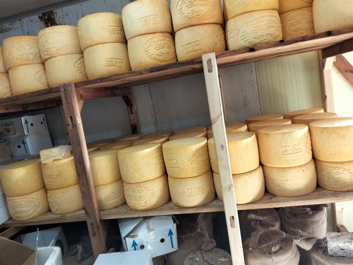 جانب من المضبوطات 