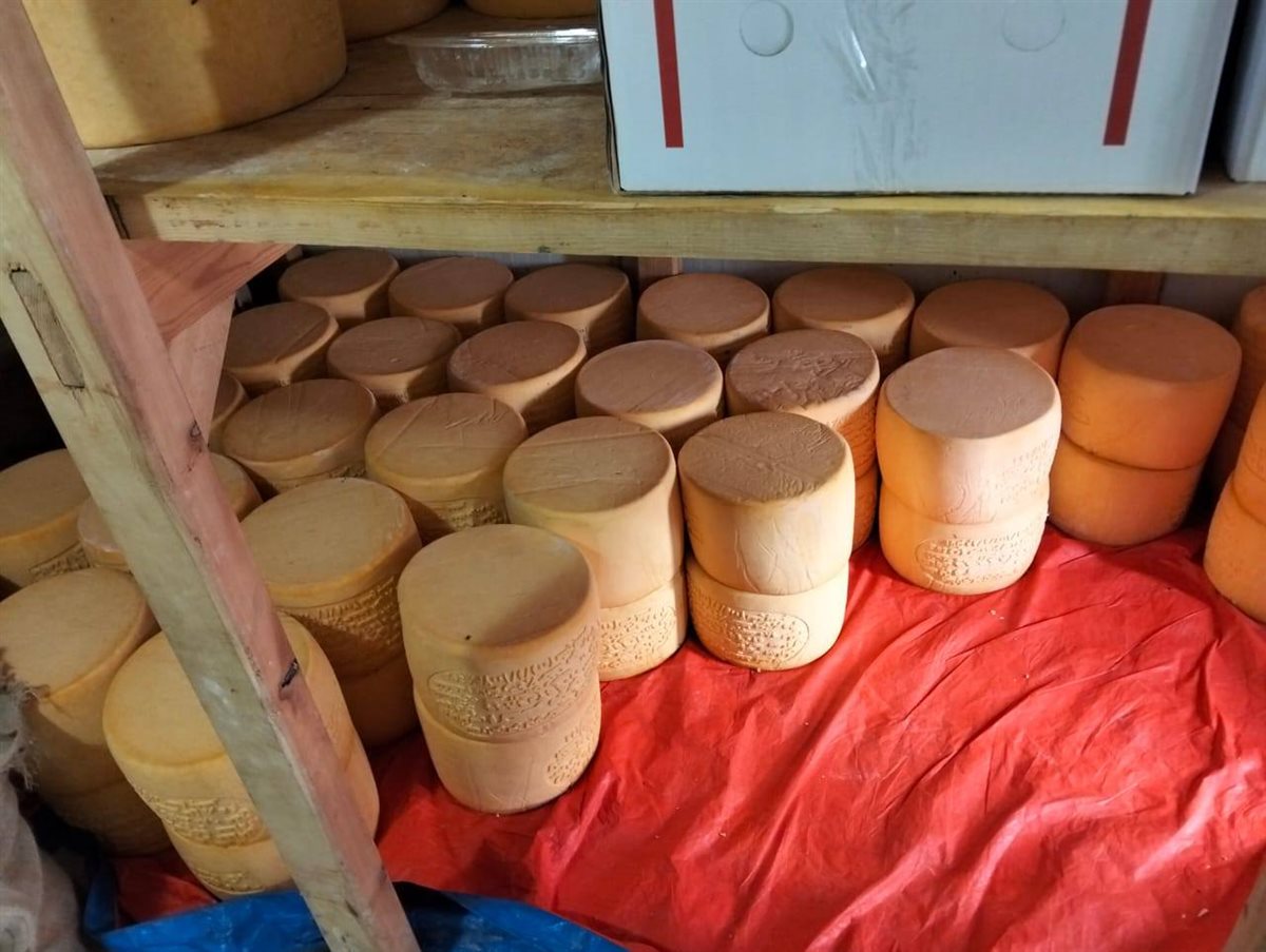 جانب من المضبوطات 