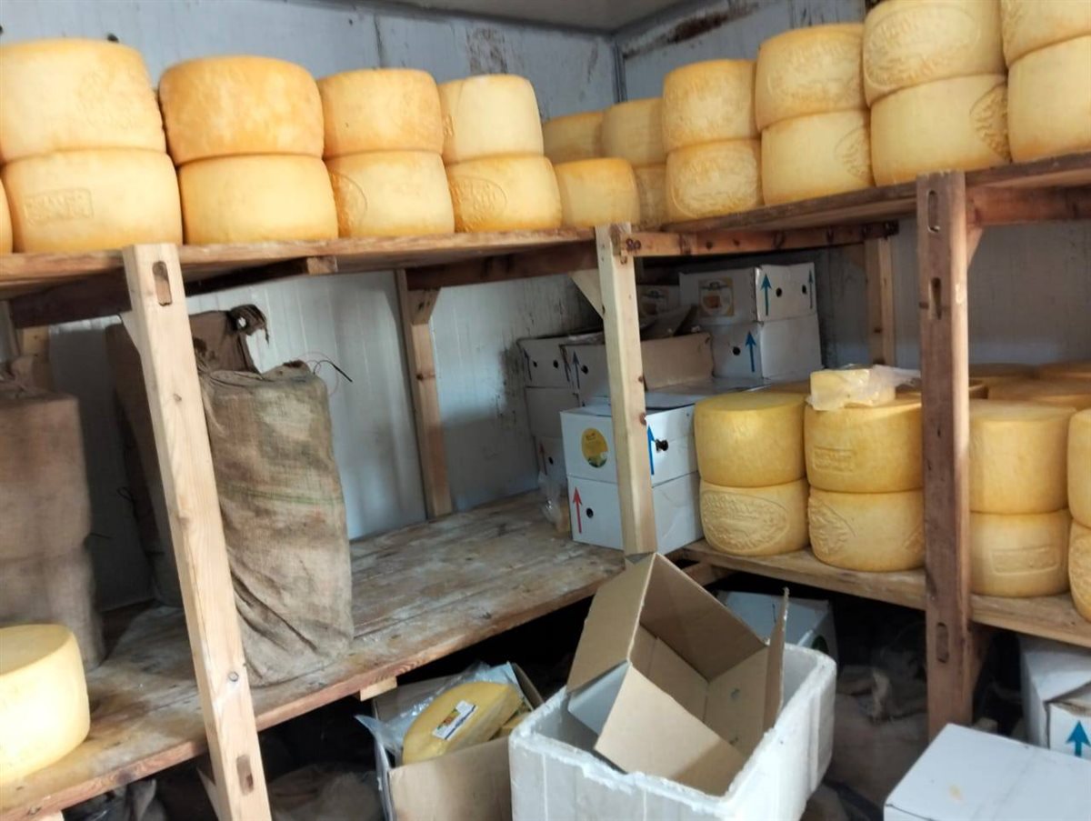 جانب من المضبوطات 