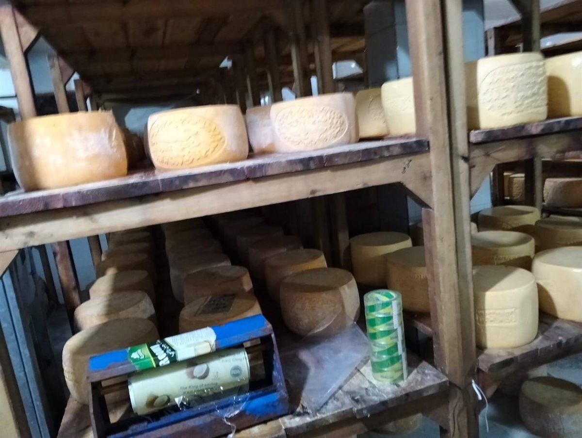 جانب من المضبوطات 