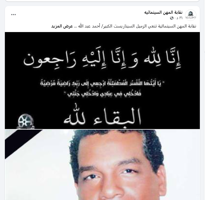 نقابة المهن السينمائية 