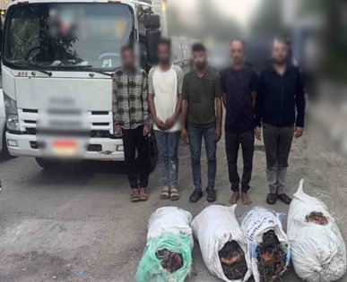 القبض على المتهمين بسرقة كابلات الإنترنت في سوهاج