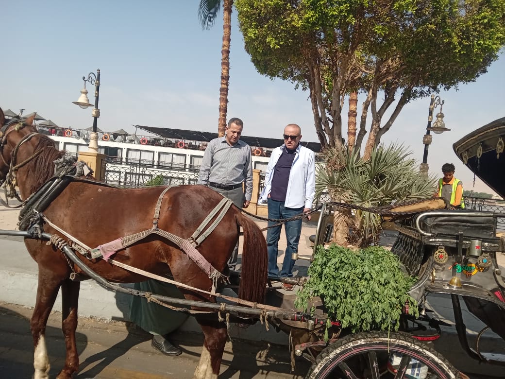 محافظ الأقصر وجولة صباحية لمتابعة مستوى النظافة 