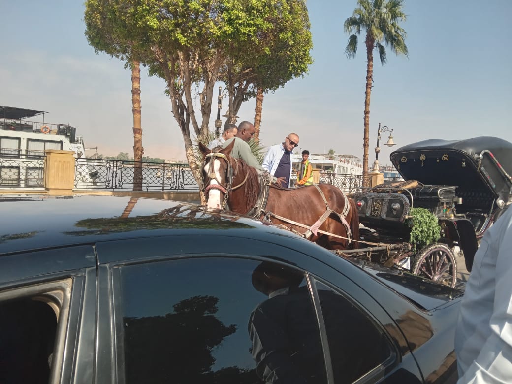 محافظ الأقصر وجولة صباحية لمتابعة مستوى النظافة 