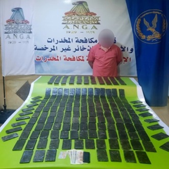 الضبطيات (8)