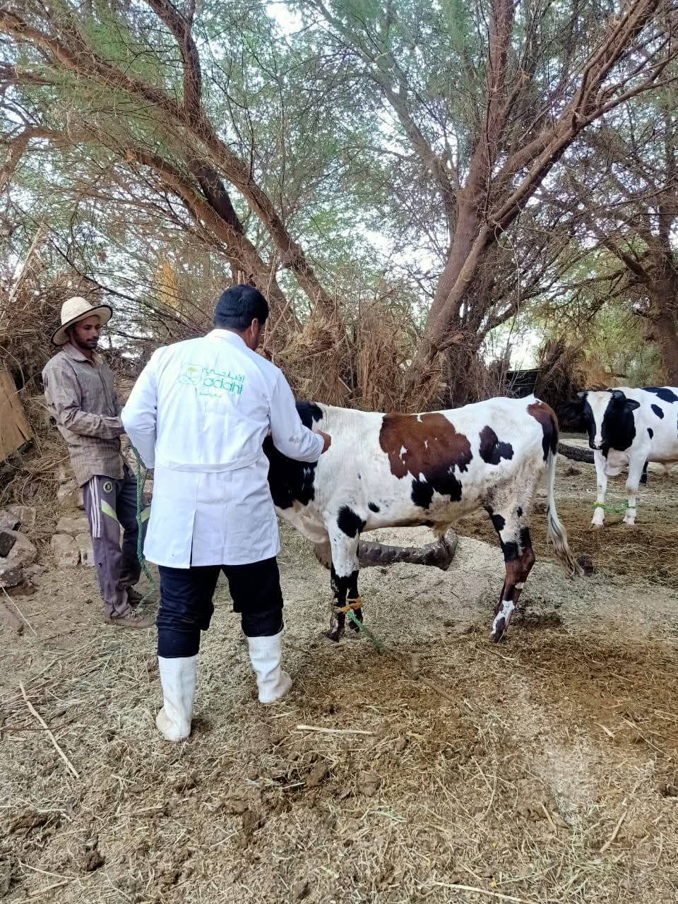 جانب من حملات الطب البيطري في الوادى الجديد