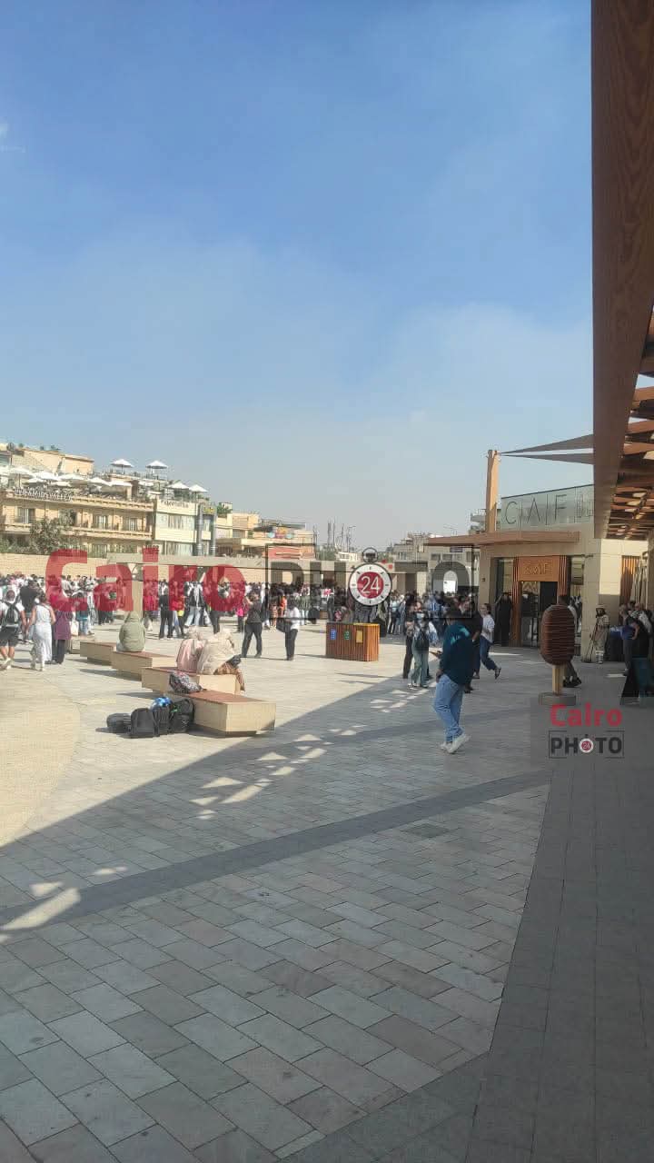 المتحف المصري 