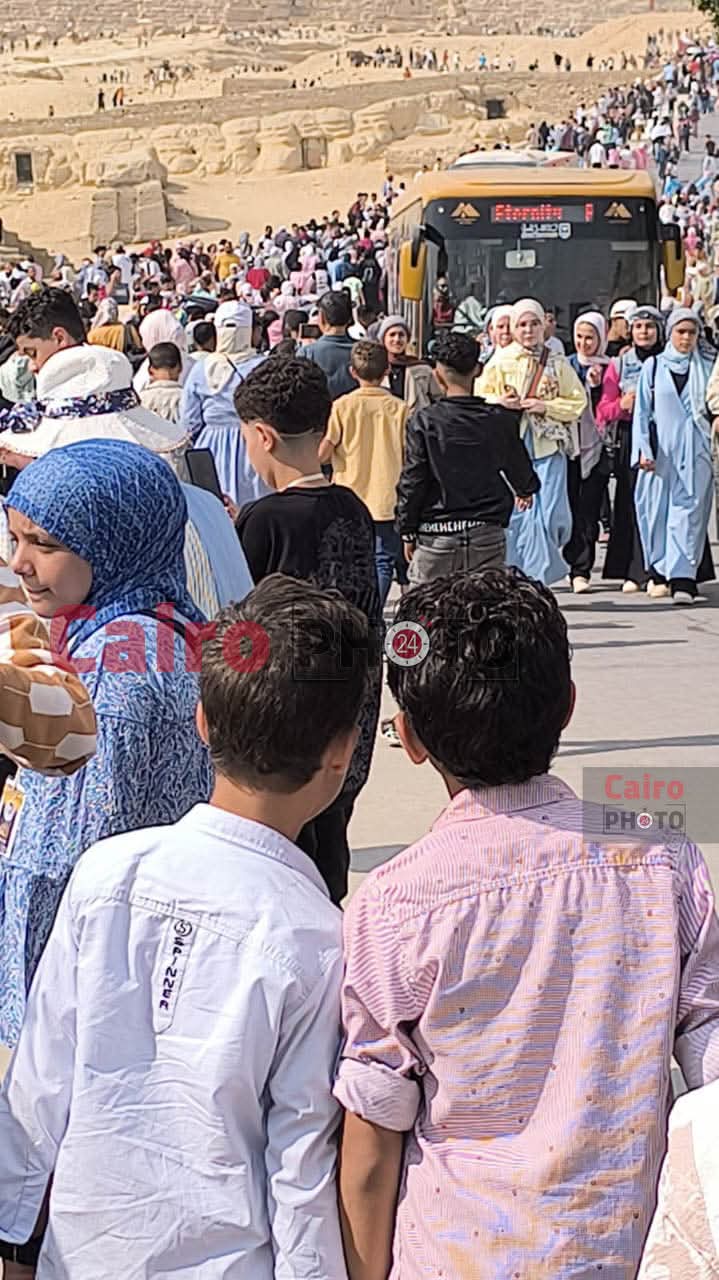 المتحف المصري 