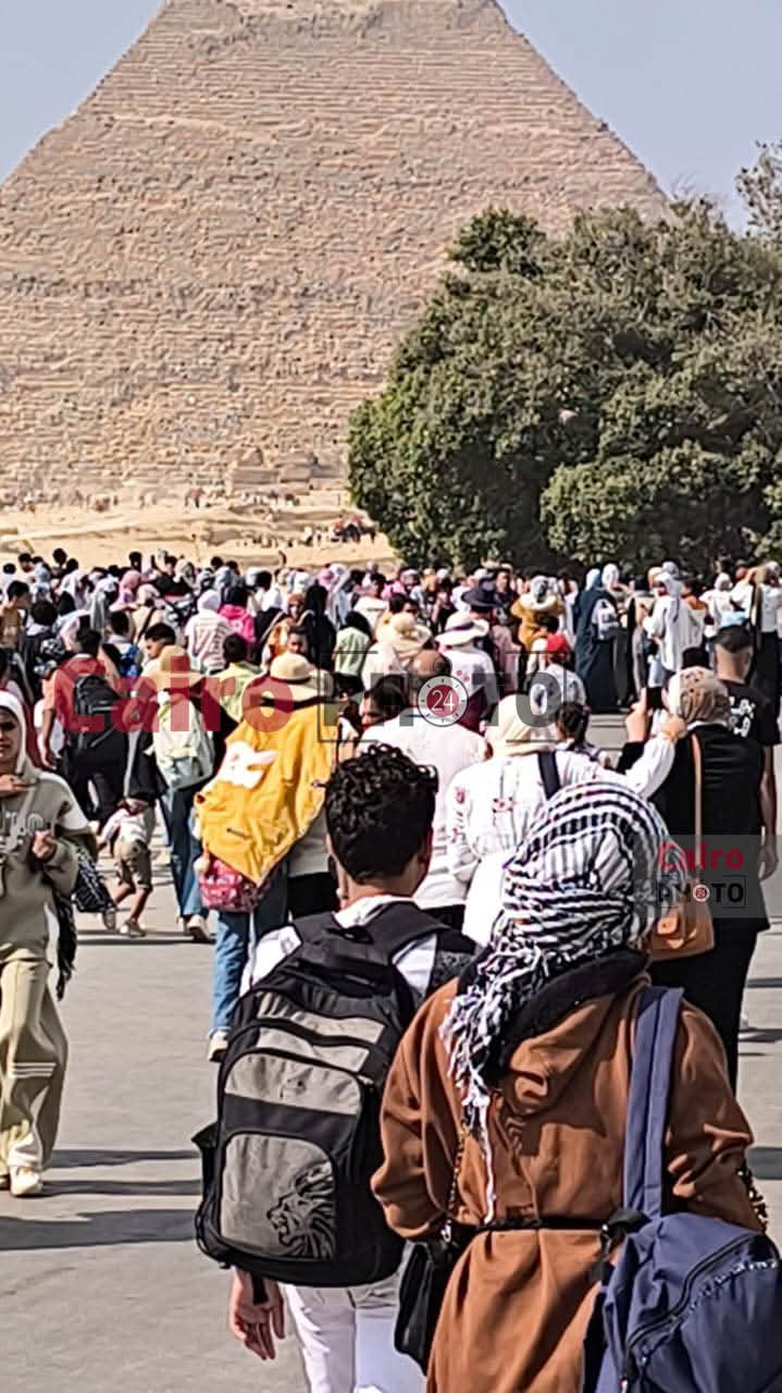 المتحف المصري 