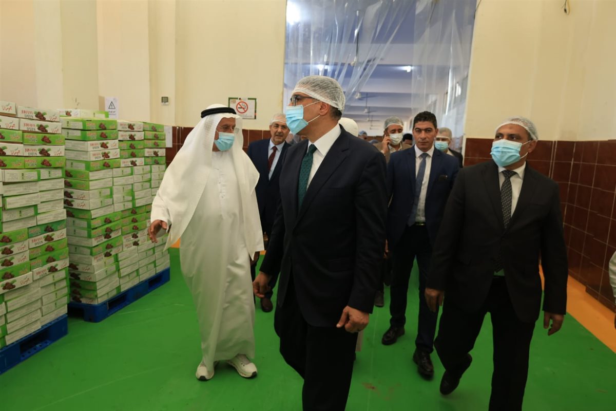 The Governor of Giza inspects the production lines at one of the dates and olive oil packing and packaging factories in the Bahariya Oasis