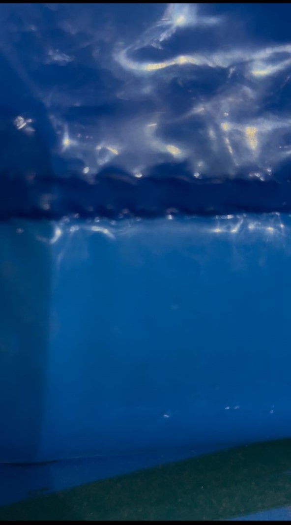 ضبط أسمدة زراعية ودقيق مدعم قبل بيعهم في السوق السوداء بالفيوم