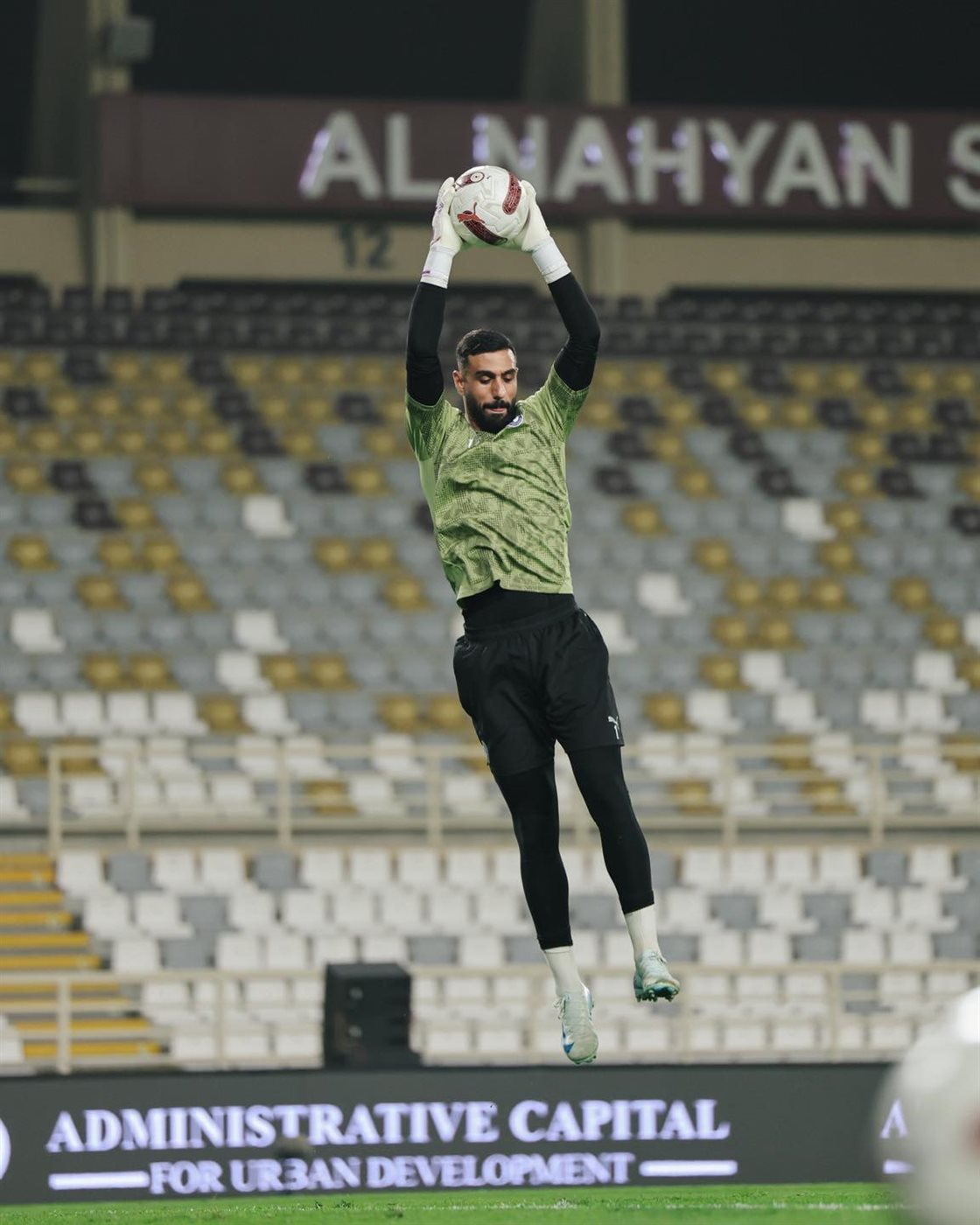 أحمد الشناوي