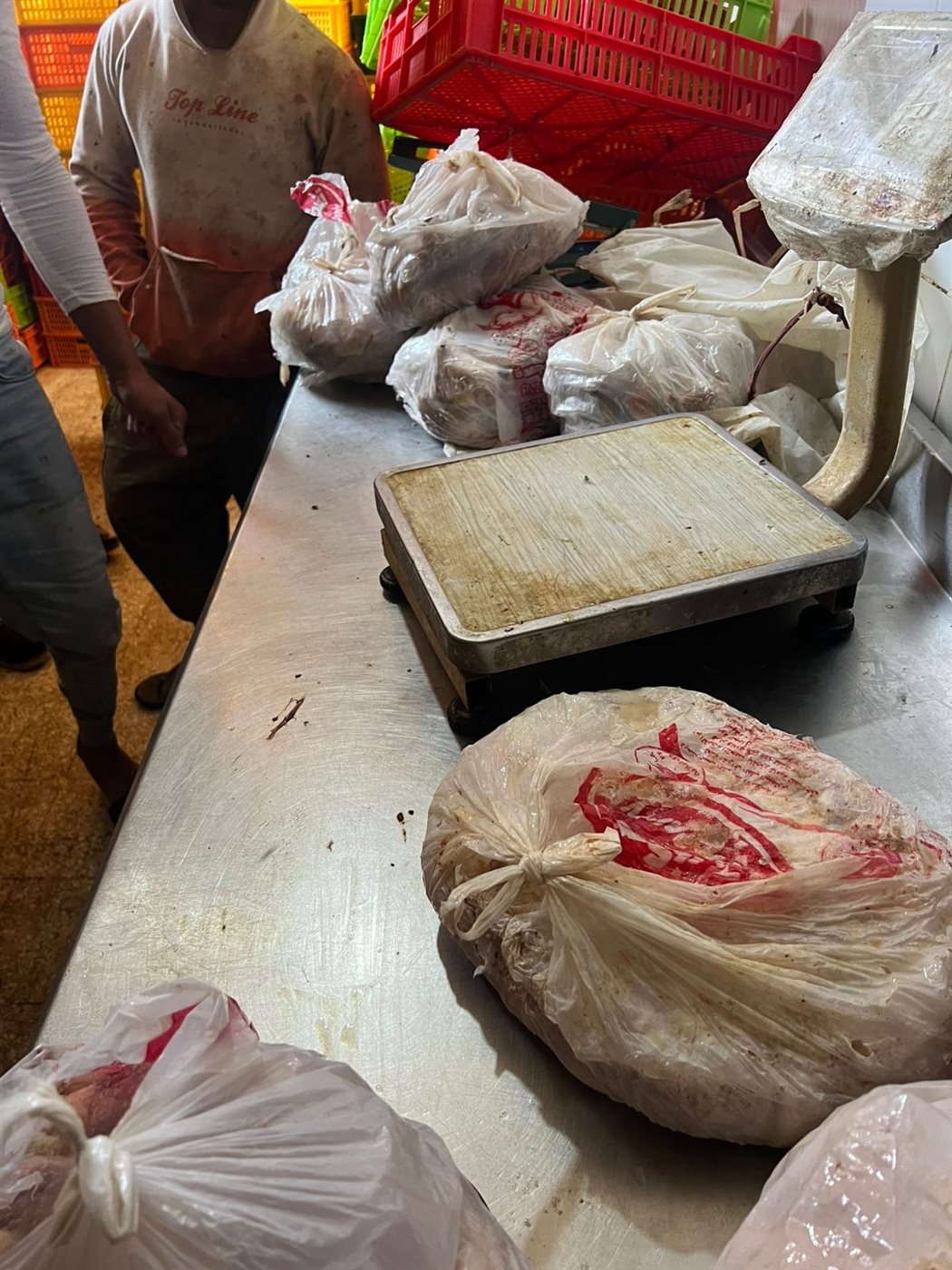 جانب من الحملة