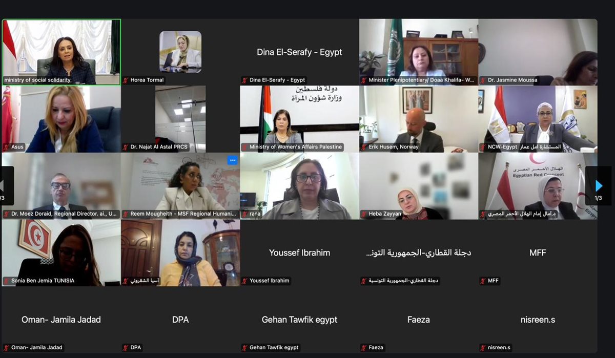 الجلسة الحوارية الإقليمية لجامعة الدول العربية