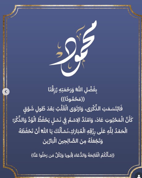 محمد محمود عبد العزيز