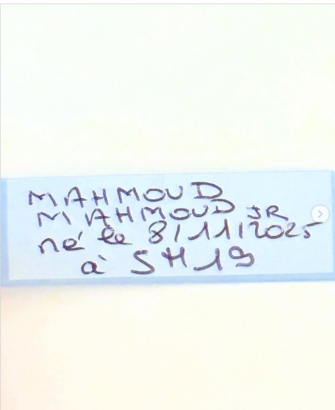 محمد محمو عبد العزيز