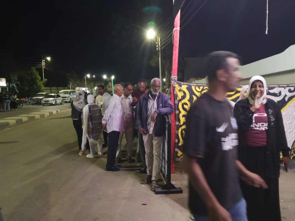 لجان انتخابات النواب في الوادى الجديد&nbsp;