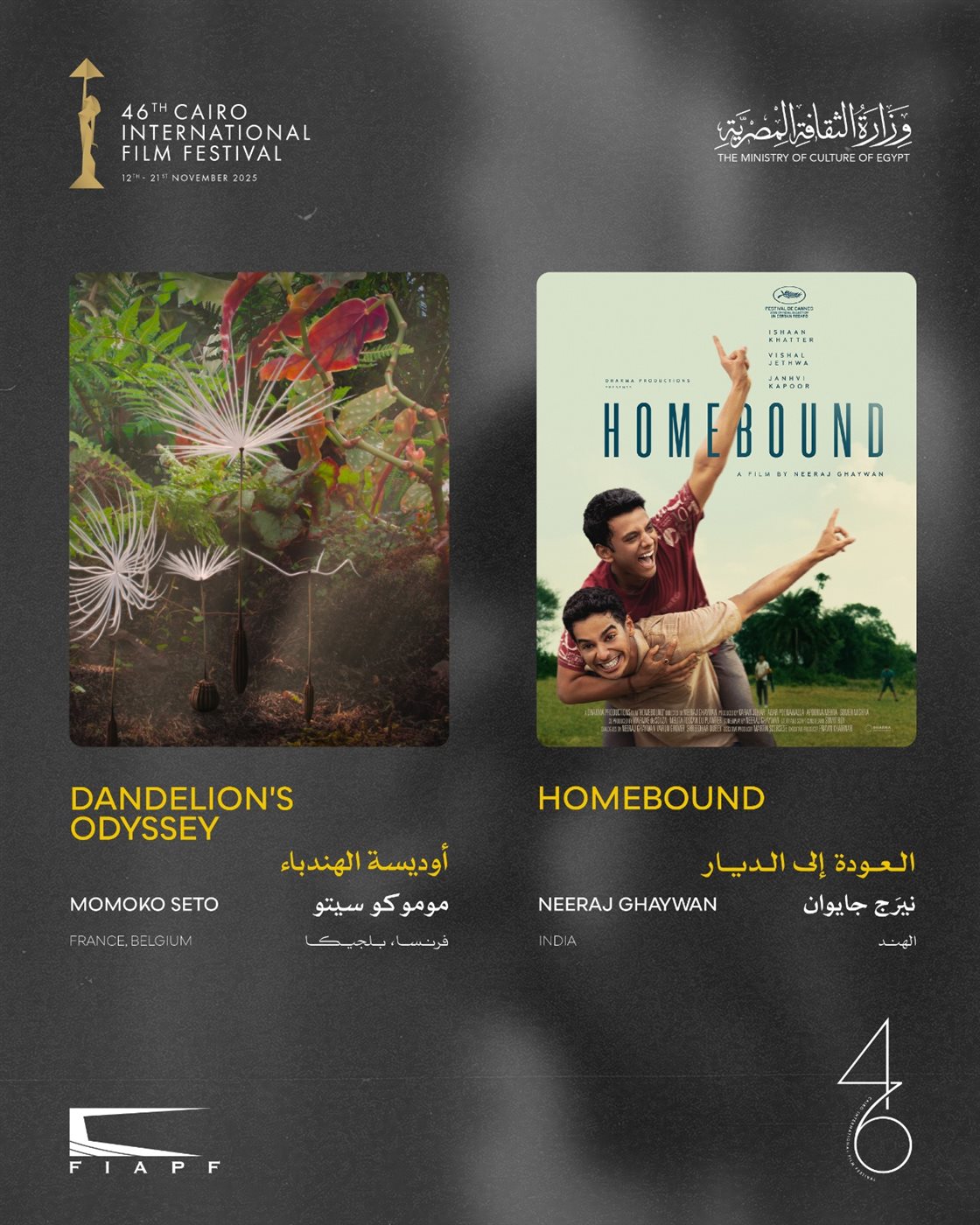 مهرجان القاهرة يعلن القائمة النهائية لبرنامج أفلام العروض الخاصة في دورته الـ46<br> 