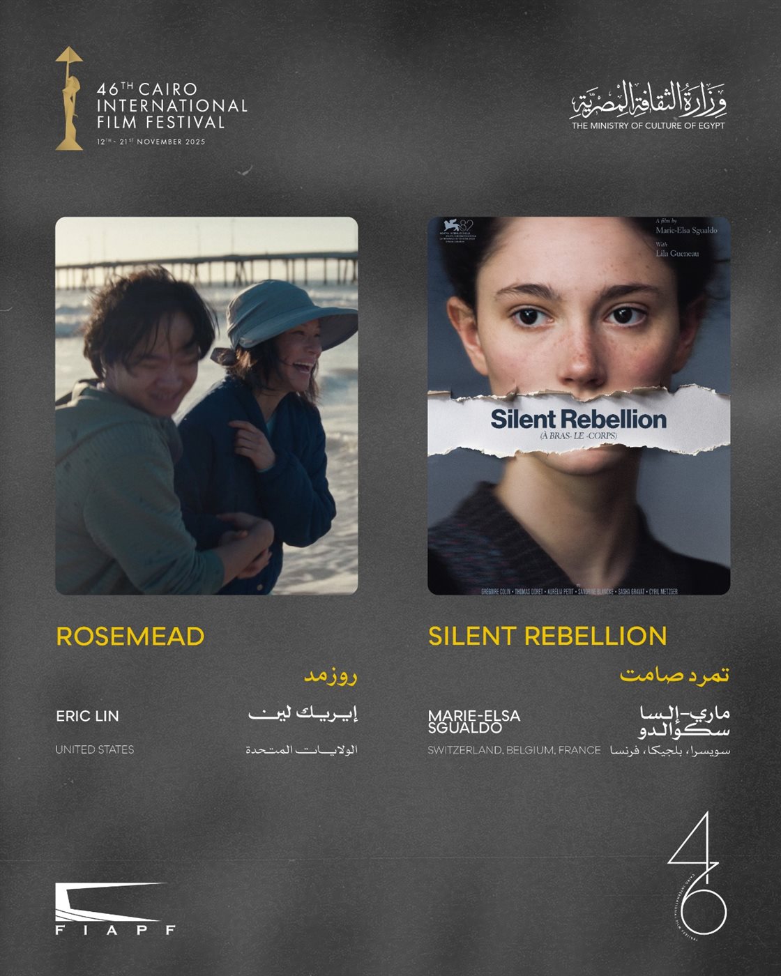 مهرجان القاهرة 