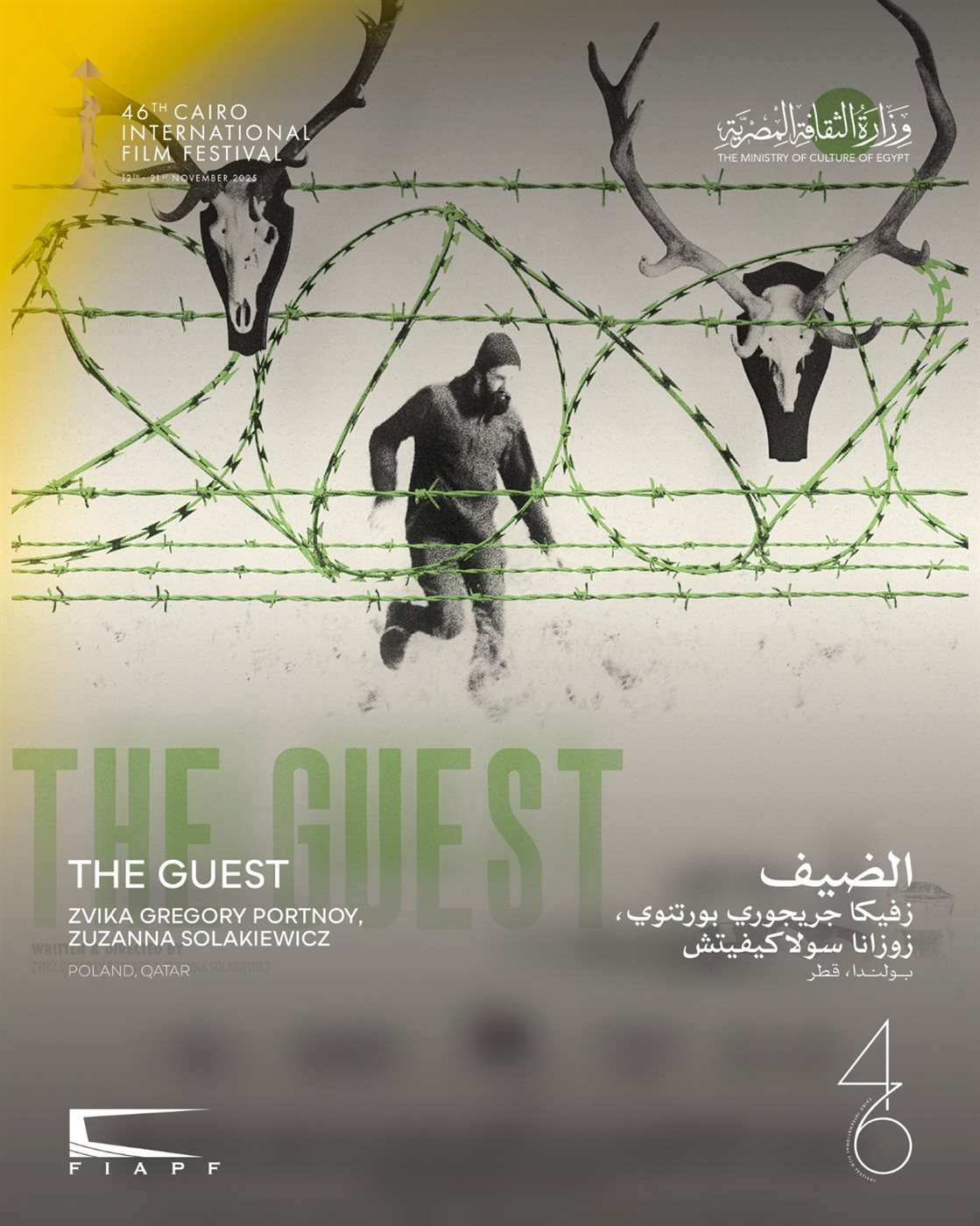 مهرجان القاهرة