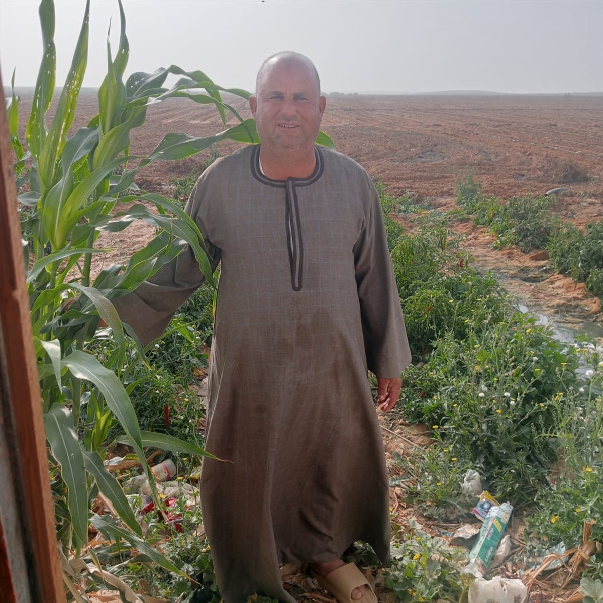  محمد عياد، مساعد نقيب الفلاحين