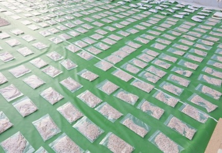 إحباط تهريب شحنة كبتاجون بقيمة 2.7 مليار جنيه 