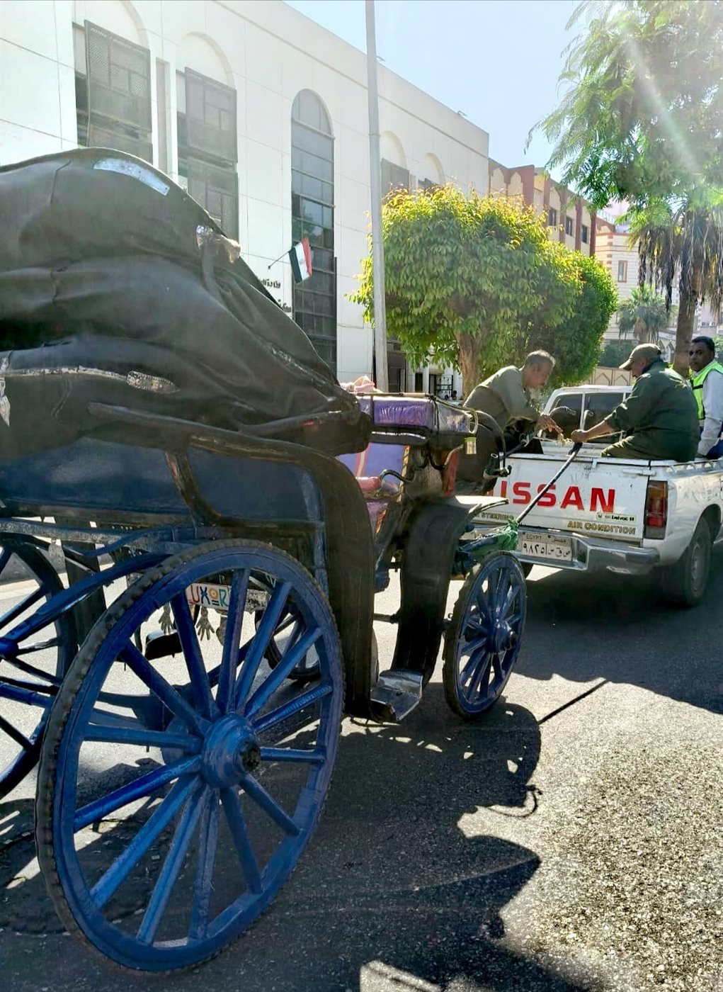 حملات على عربات الحنطور المخالفة بالأقصر 