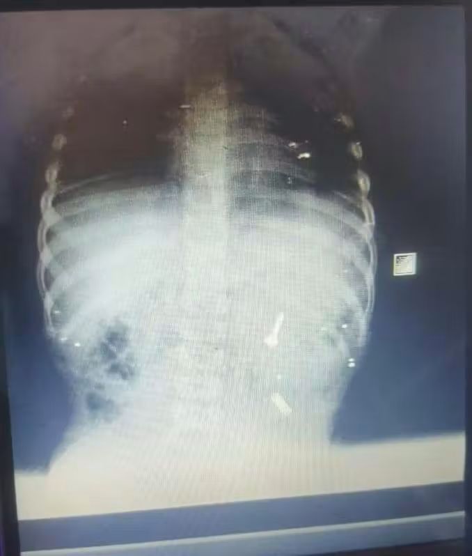 الفريق الطبي بهيئة الرعاية الصحية 