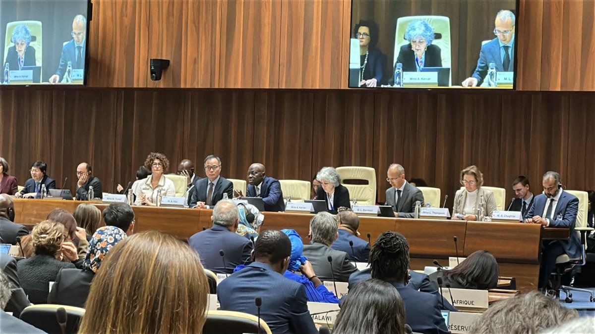 جانب من دورة منظمة العمل الدولية