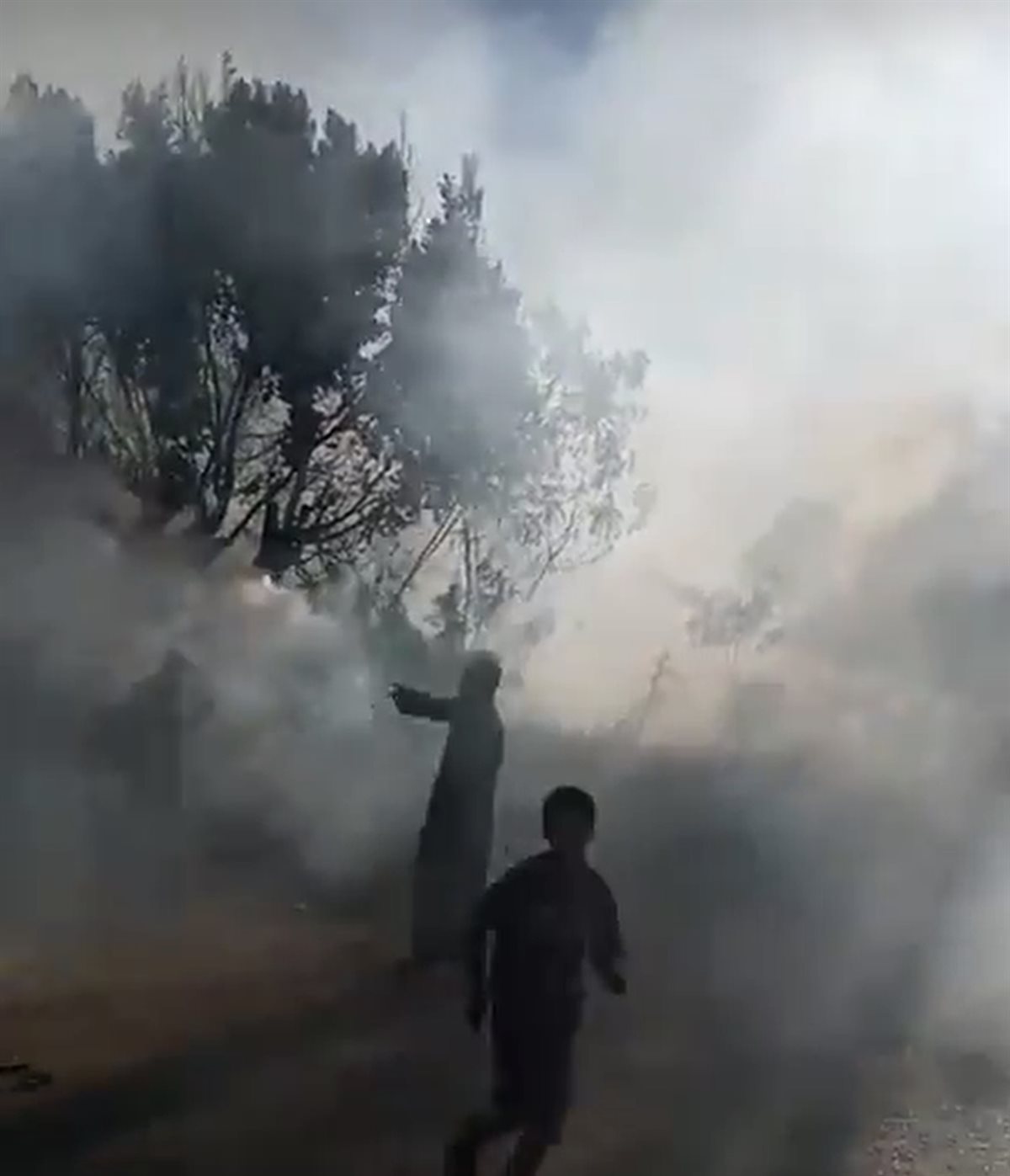 السيطرة على حريق نخيل في اسنا 