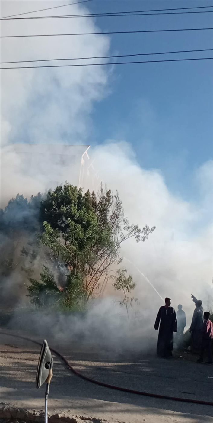 السيطرة على حريق نخيل في اسنا 