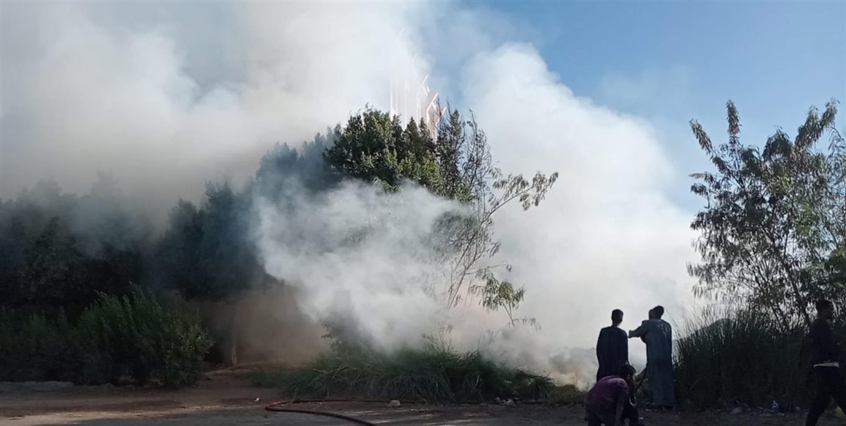 السيطرة على حريق نخيل في اسنا 