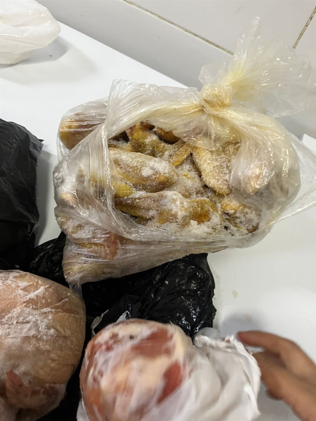 حملات للطب البيطري بالأقصر 