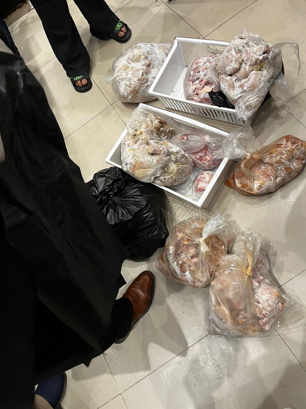 حملات للطب البيطري بالأقصر 