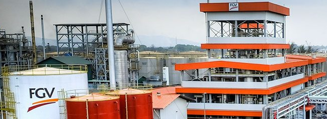 مصانع عملاقة تديرها فيلدا وذراعا العملاق مؤسسة FGV