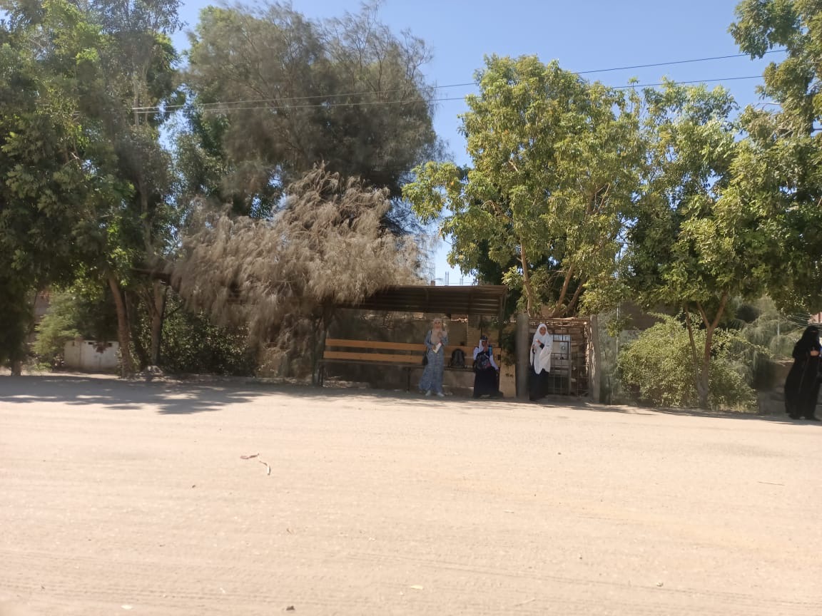 قرية طفنيس بإسنا جنوب الأقصر 