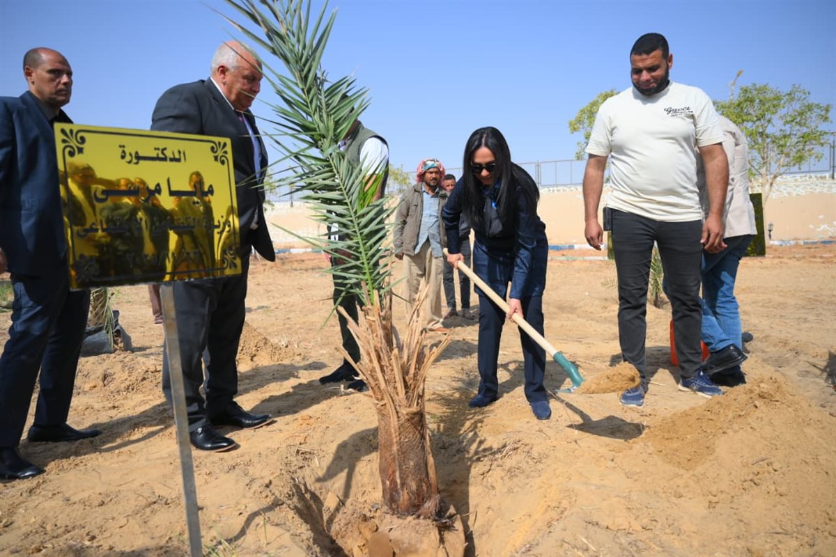 وزيرة التضامن تغرس نخلة في حديقة 30 يونيو في الوادي الجديد