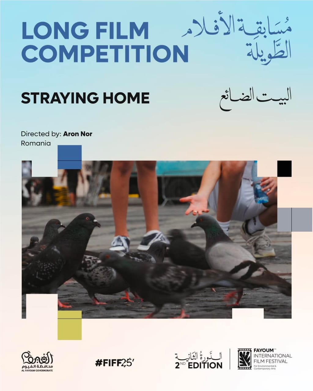 مهرجان الفيوم