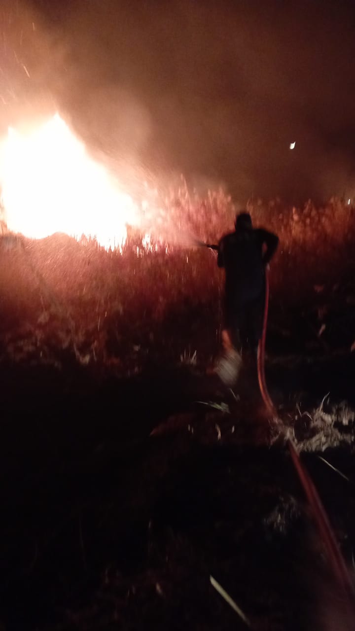 حريق في مزرعة شركة مياه الشرب والصرف الصحي بسوهاج