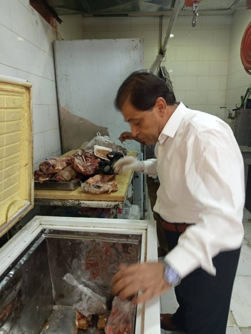 حملات الطب البيطري 