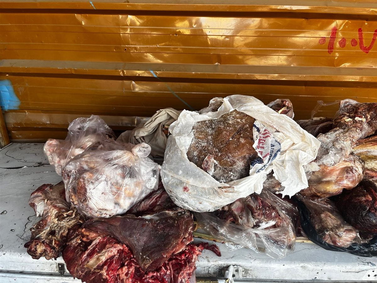 ضبط لحوم فاسدة بالأقصر 