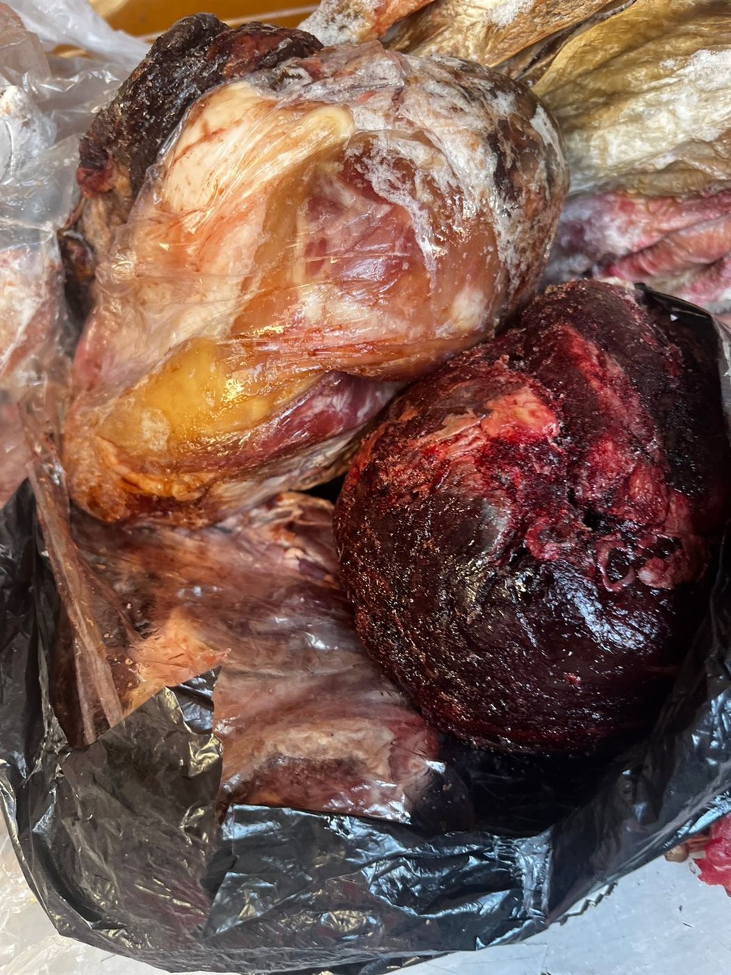 ضبط لحوم فاسدة بالأقصر 